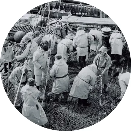 2015 Breizh Surimi Terre Neuvas